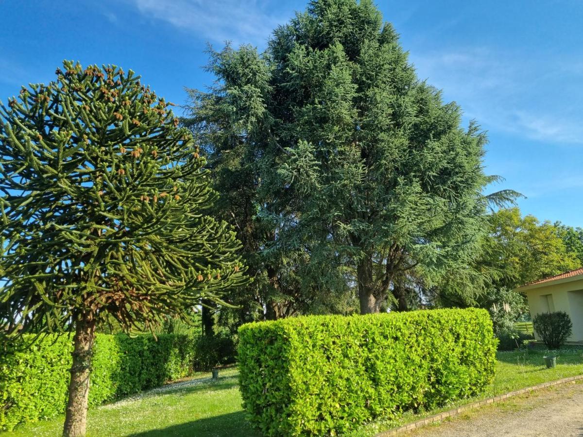 Les 3 Cedres Villa Miramont-de-Guyenne Exteriör bild