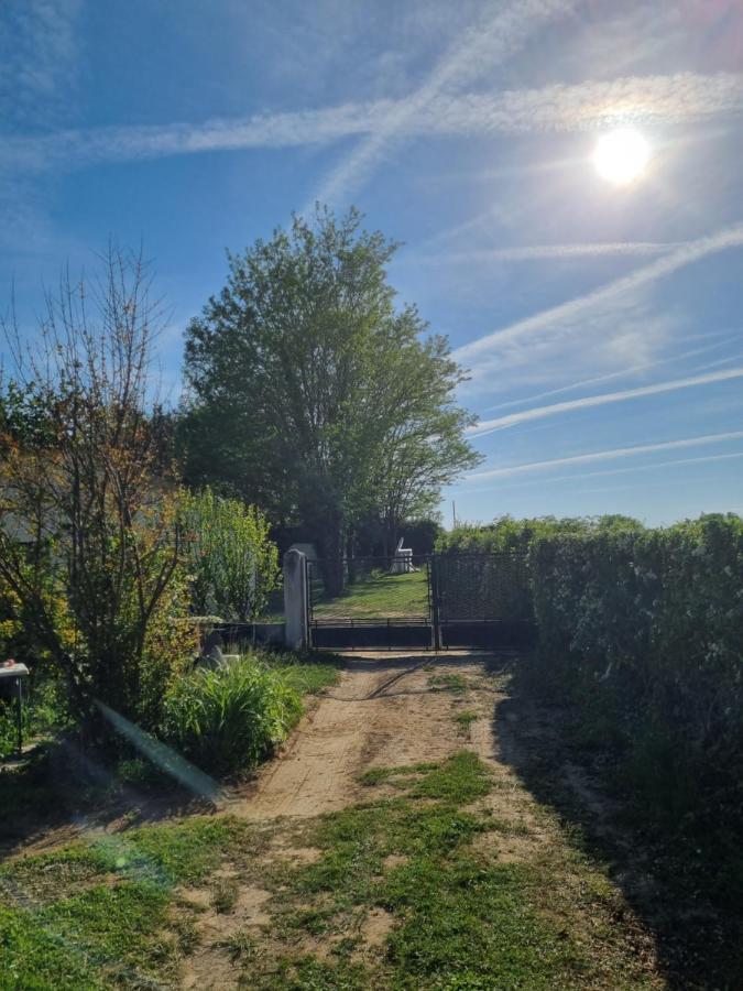 Les 3 Cedres Villa Miramont-de-Guyenne Exteriör bild